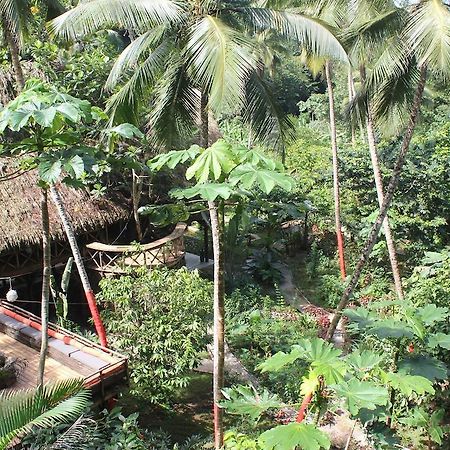 Dominican Tree House Village Samana Ngoại thất bức ảnh