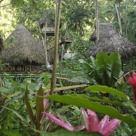 Dominican Tree House Village Samana Ngoại thất bức ảnh