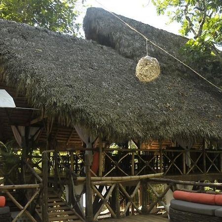 Dominican Tree House Village Samana Ngoại thất bức ảnh