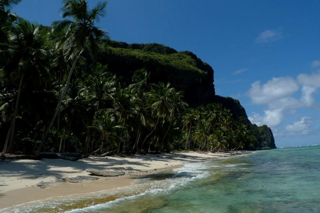 Dominican Tree House Village Samana Ngoại thất bức ảnh