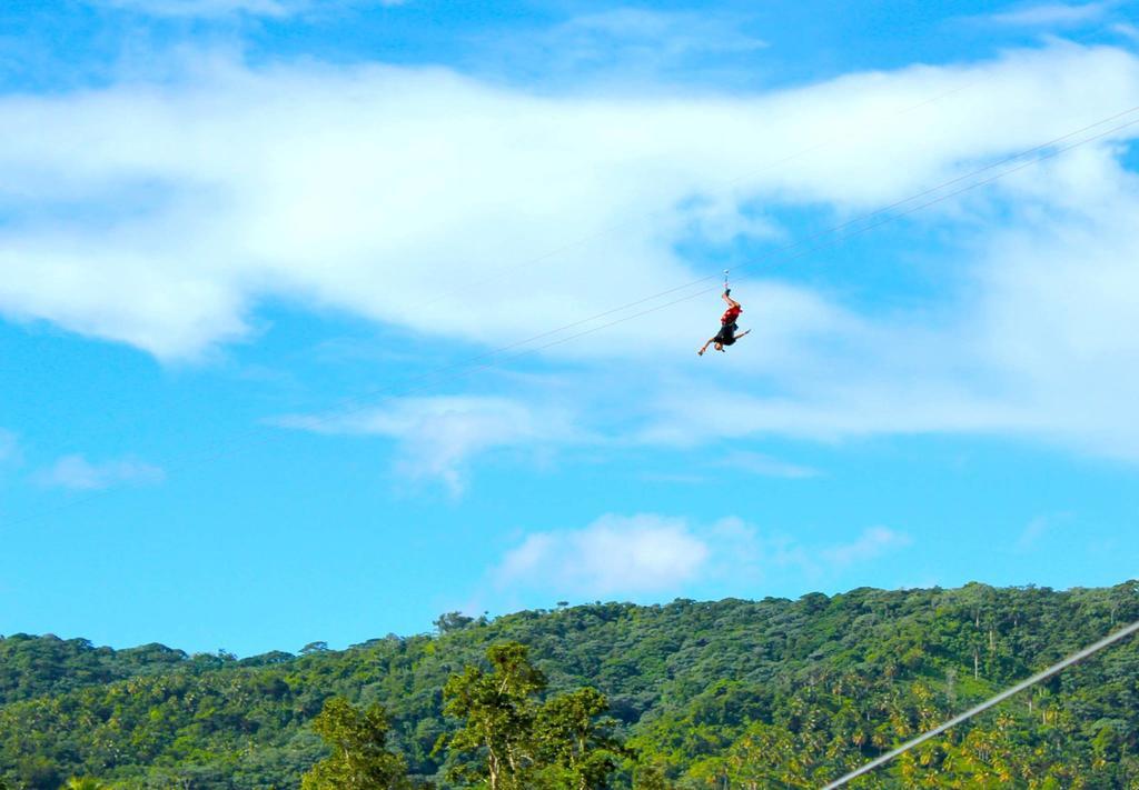 Dominican Tree House Village Samana Ngoại thất bức ảnh