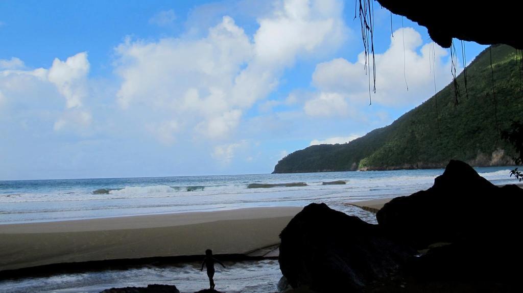Dominican Tree House Village Samana Ngoại thất bức ảnh