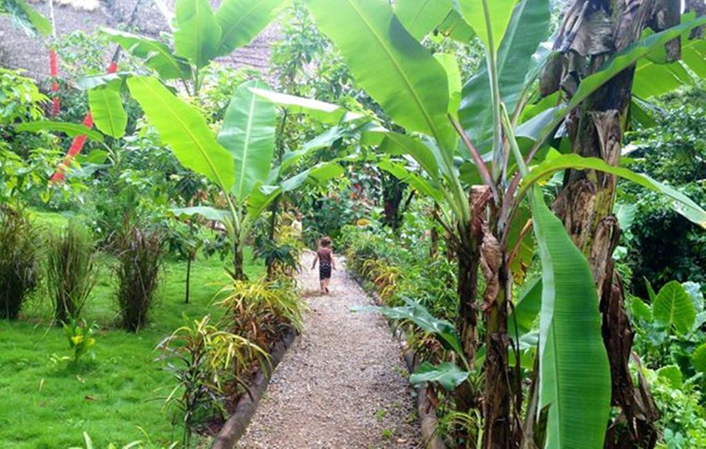 Dominican Tree House Village Samana Ngoại thất bức ảnh