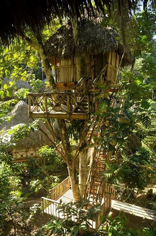 Dominican Tree House Village Samana Ngoại thất bức ảnh