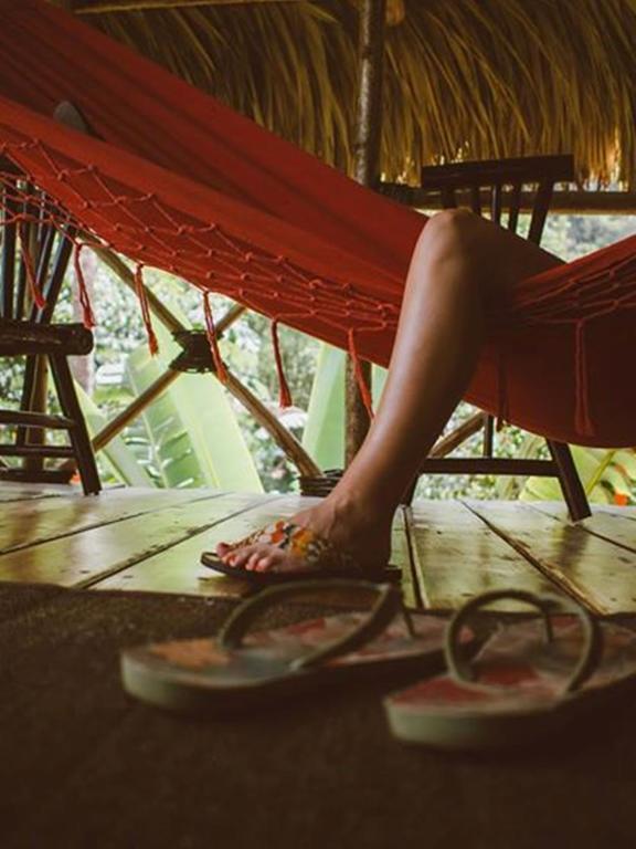 Dominican Tree House Village Samana Ngoại thất bức ảnh