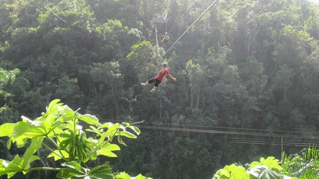 Dominican Tree House Village Samana Ngoại thất bức ảnh