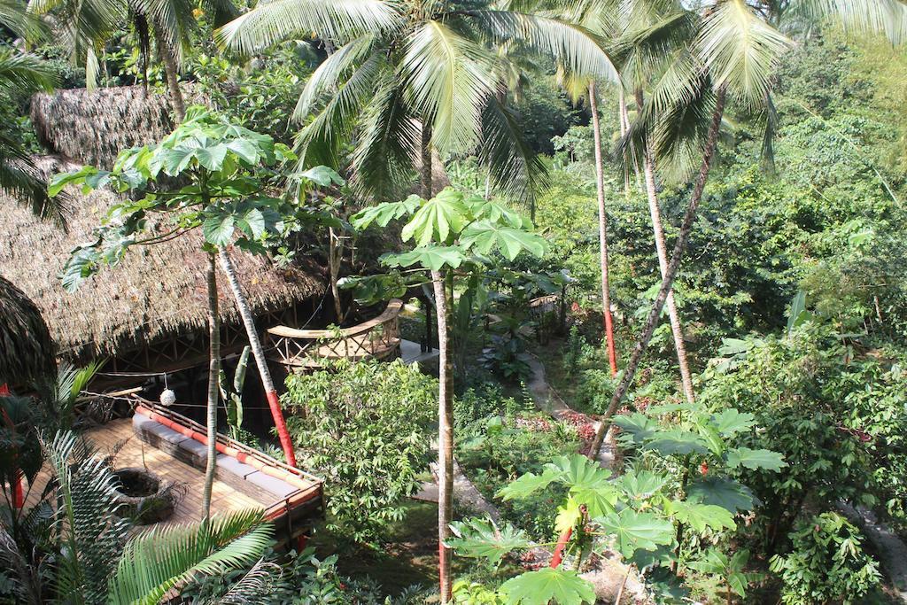 Dominican Tree House Village Samana Ngoại thất bức ảnh