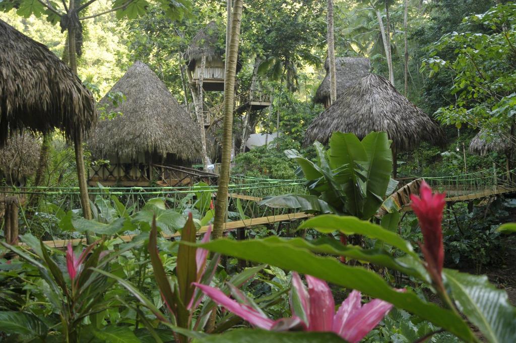 Dominican Tree House Village Samana Ngoại thất bức ảnh