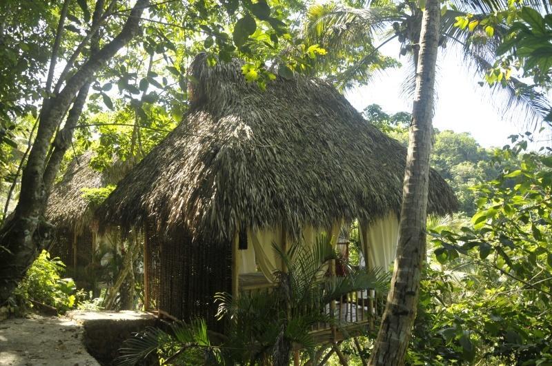 Dominican Tree House Village Samana Ngoại thất bức ảnh