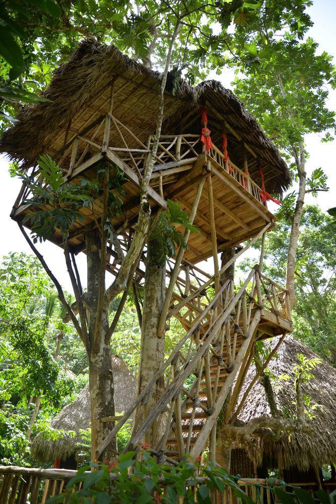 Dominican Tree House Village Samana Ngoại thất bức ảnh
