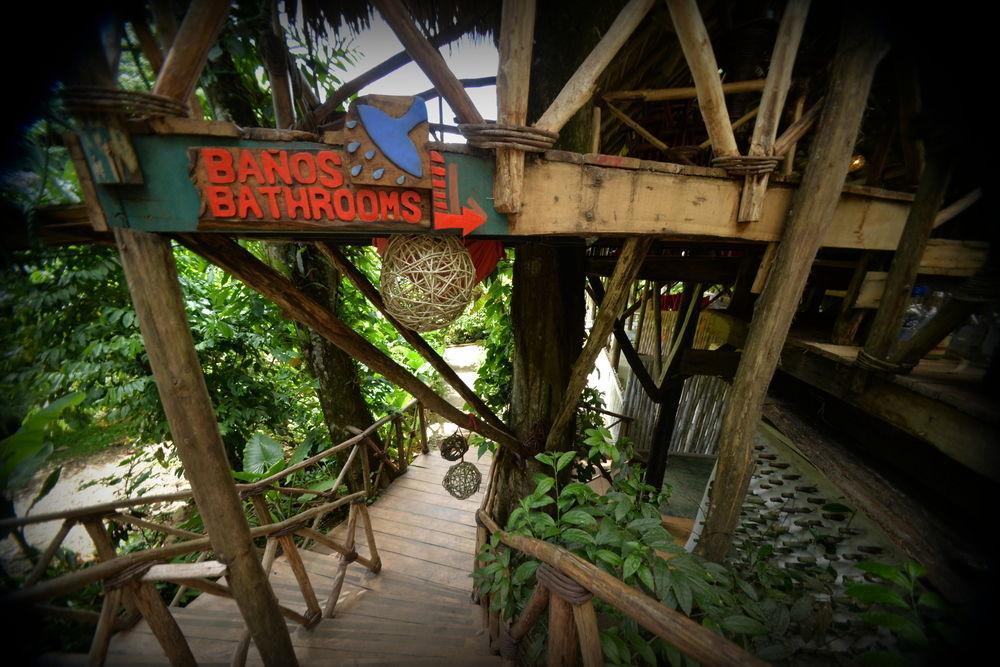 Dominican Tree House Village Samana Ngoại thất bức ảnh