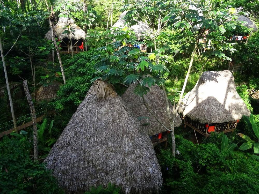 Dominican Tree House Village Samana Ngoại thất bức ảnh