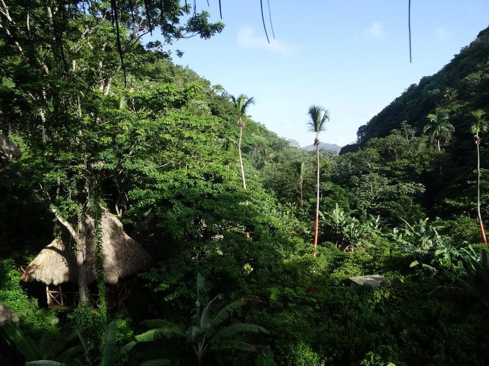 Dominican Tree House Village Samana Ngoại thất bức ảnh