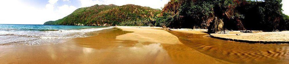 Dominican Tree House Village Samana Ngoại thất bức ảnh